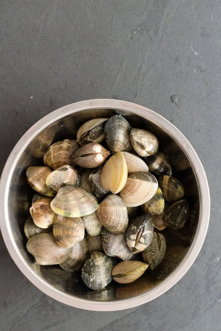 fresh clams