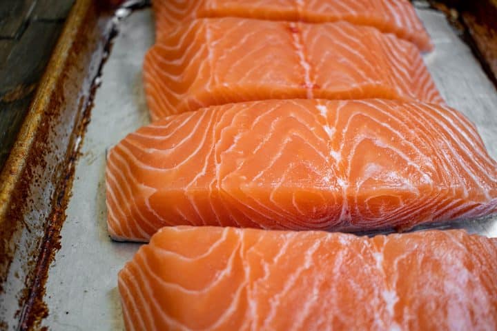 fresh salmon