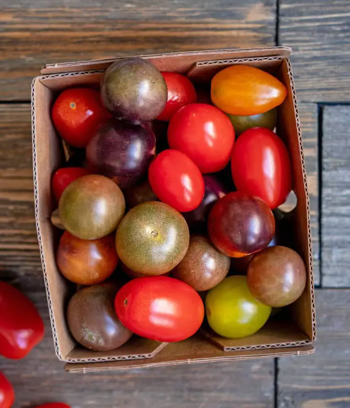 fresh cherry tomatoes